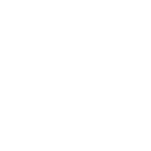 Havan