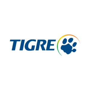 Tigre